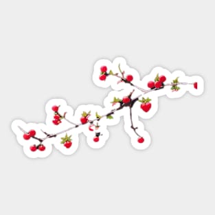 Red Berry Branch Sticker